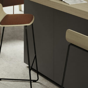 Bisell 02