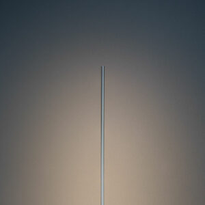 Light Stick F